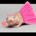 The muskrat (@sachamarseille1) Twitter profile photo The muskrat (@sachamarseille1) Twitter profile photo