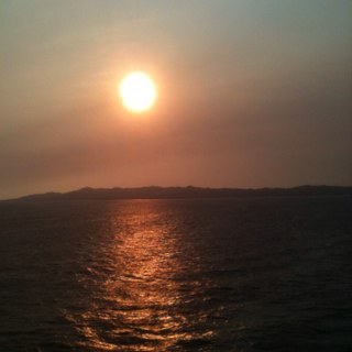 TFitz2's profile picture. 