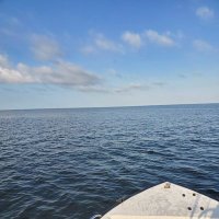 AllenHowes (@allenrhowes) 's Twitter Profile