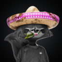 tornelas1422's profile picture. 