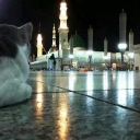 woodzwork_sam's profile picture. The way that I move these niggaz can’t copy💎