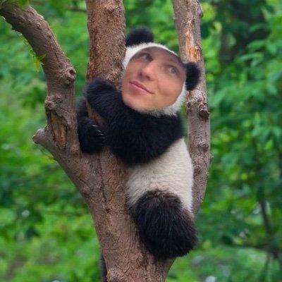 bsdhossler_'s profile picture. She/Her supporting here @jxdn and @bsd_wav