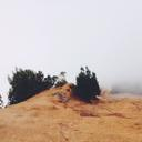 mcardoza161's profile picture. 