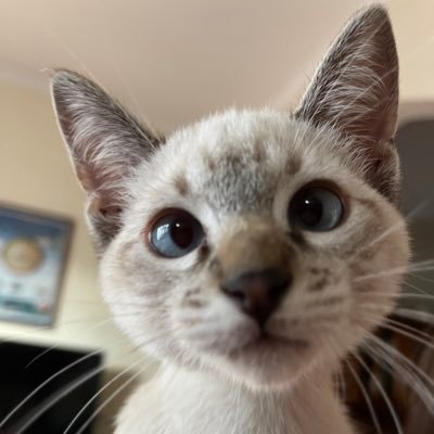 dahianadelos00's profile picture. 