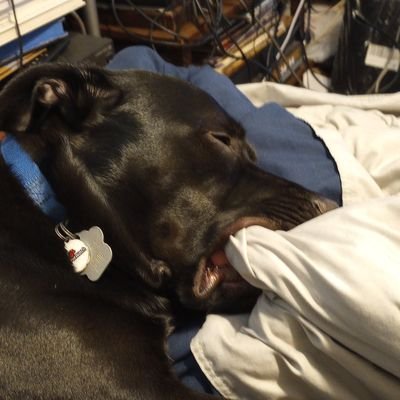 Ricardo34497389's profile picture. Love at first view. Name's Ricardo Luis Santos Leandro Acosta DaSilva Antunes