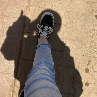 Sacha9555's profile picture. 