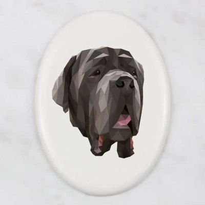 paulacojeda's profile picture. 