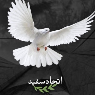 🕊️🤍 زن زندگی آزادی من پادشاهی خواه هستم ولی پیرو راه شاهزاده رضا پهلوی وهمراه با منشور مهسا برای دوران گذار