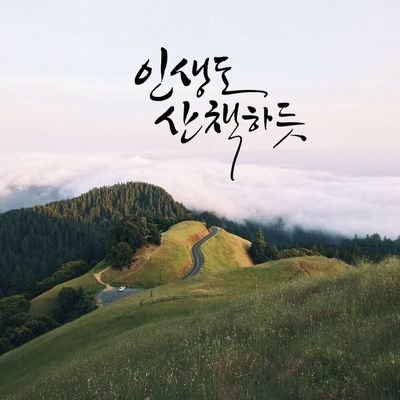 phd505's profile picture. 세상만사 팔자타령.  五行 相生相剋 선순환 악순환. 울애기 盤松아씨🌻 오나전💝