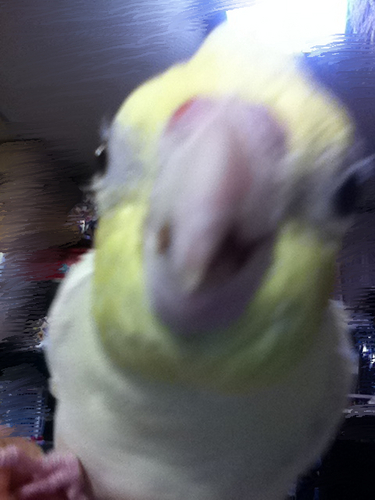 akicokico's profile picture. ORANGERANGE🍊kis-my-ft2🛼