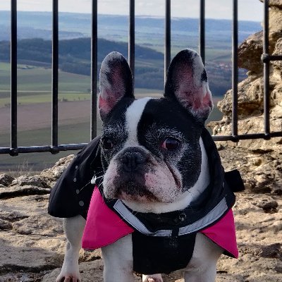 porko68's profile picture. 