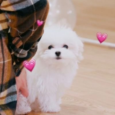 anakkelinci99's profile picture. akun sambat ‼️