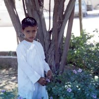 天 (@artlaw_) 's Twitter Profile Photo