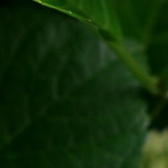 javiertrejo35's profile picture. 