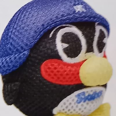 2022年の⚾️の交流戦頃から、つば九郎先生🐧やつばみちゃん🎀に癒され東京ヤクルトスワローズ☂️を応援しています🔥😊🔰。他のスポーツも広く浅くですが好きです。
安室奈美恵さん、綾瀬はるかさん推し🥰。
よろしくお願いします🙇。