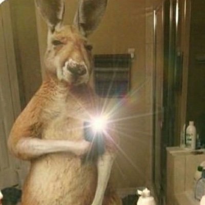 DreZ1337's profile picture. .