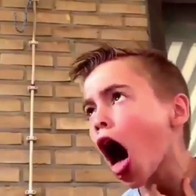 apple_phone109's profile picture. はいごりら