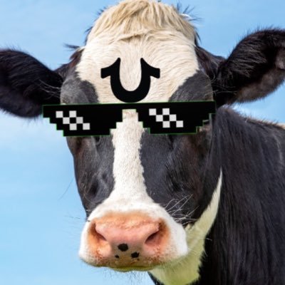 I’m a cow lol (chubby girl enjoyer)
