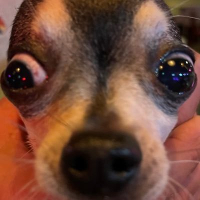 superleti2's profile picture. Who is John Galt?