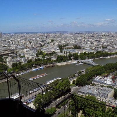 pichichoal's profile picture. 