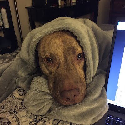 maxxid1007's profile picture. 