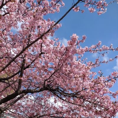 桜🌸の物が大好き💕
💉3回目2022.1月に接種…不覚にも7/8喉痛、7/10陽性判明(職場感染)、7/14~18軽症も入院。喘息持ち。咳と呼吸苦の後遺症3w程続く💦9/16💉4回目、2023.1/16💉2価接種(5回目)✨
Number_i💜King & Prince🖤