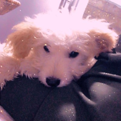 Sol84484655's profile picture. 