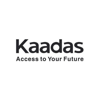 Kaadas Smart Door Lock