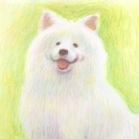 やまなみ🦉🪄 (@y731qr03) 's Twitter Profile Photo やまなみ🦉🪄 (@y731qr03) 's Twitter Profile Photo