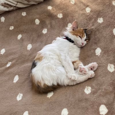 ptbfJVgL4at8DQ7's profile picture. '00