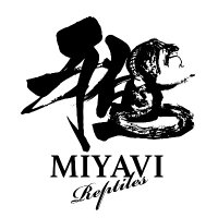 雅 Reptiles (@miyavi_reptiles) Twitter profile photo