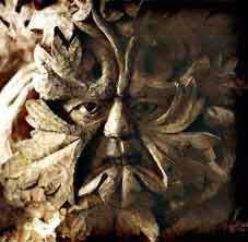 Orkneycrofts's profile picture. https://t.co/saUzmWsE5i is a five star rated self-catering business based off the top of Scotland.