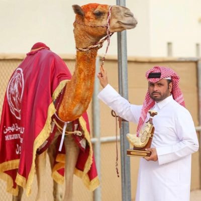 شاعر قطري وعضو في رابطة مغردي شبكة أهل قطر الأولى - بعض كتاباتي تجدونها بالمفضله