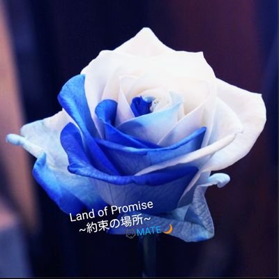 MATE🐺🌙ØMI🍀
Land of Promise
🌹~約束の場所~🌹