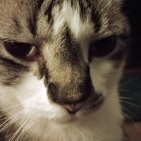 Sebastian (@bookworm_ok) 's Twitter Profile