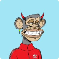 havier (@erling20211) 's Twitter Profile