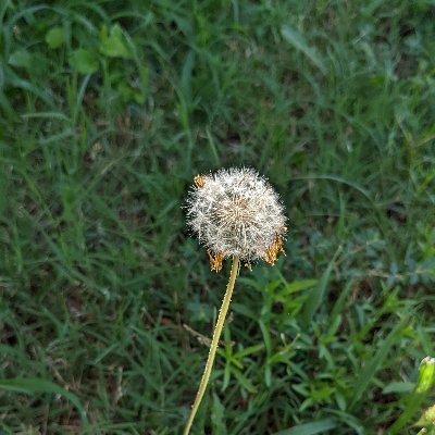 FarIAdiba24's profile picture. 