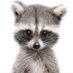 Glenda Bogan (@glendabogan1) Twitter profile photo Glenda Bogan (@glendabogan1) Twitter profile photo