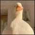 injuart (@injuartmaa) Twitter profile photo injuart (@injuartmaa) Twitter profile photo