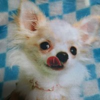 n.s2022🍋Lemon (@ns2022ns2023) 's Twitter Profile
