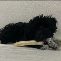 Yusuf KONAR (@ykonar) Twitter profile photo