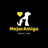 Mejor Amigo Adopta (@mejoramigoadopt) 's Twitter Profile
