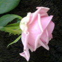 Miss April Day - @MissAprilDay - Twitter