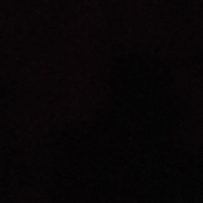 YondonR's profile picture. 