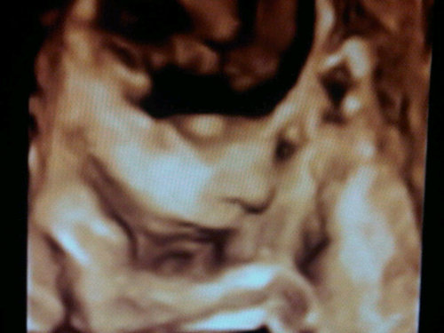 migsal1977's profile picture. 