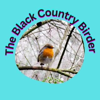 Hello I am a Birder from the black country. I love nature,especially birds and Bird photography. Follow me on Instagram and Facebook l