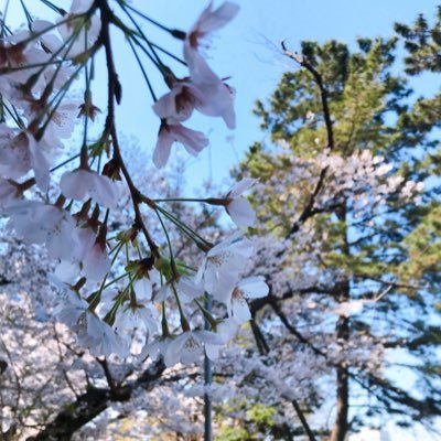 izumi_no_kaeru's profile picture. 明治 文 地理学専攻 3年(2年次編入)