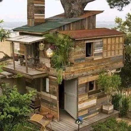 MnyalukoloM's profile picture. 