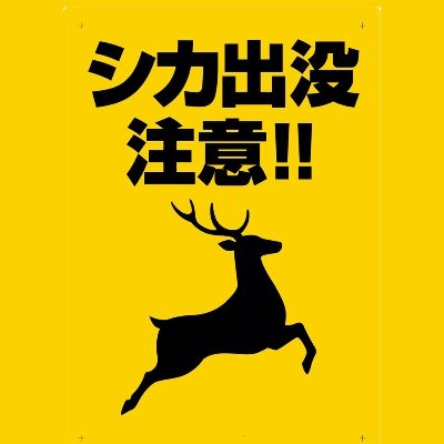 歯科医師。野鳥観察。
鹿医師?👉ん、歯科医師だろ〜!
ということで命名しました。
もちろん鹿先生を尊敬しております。

YouTube動画『免許皆伝』
https://t.co/curn9jJVI7…