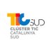 Clúster TIC Catalunya Sud (@TICSud) Twitter profile photo